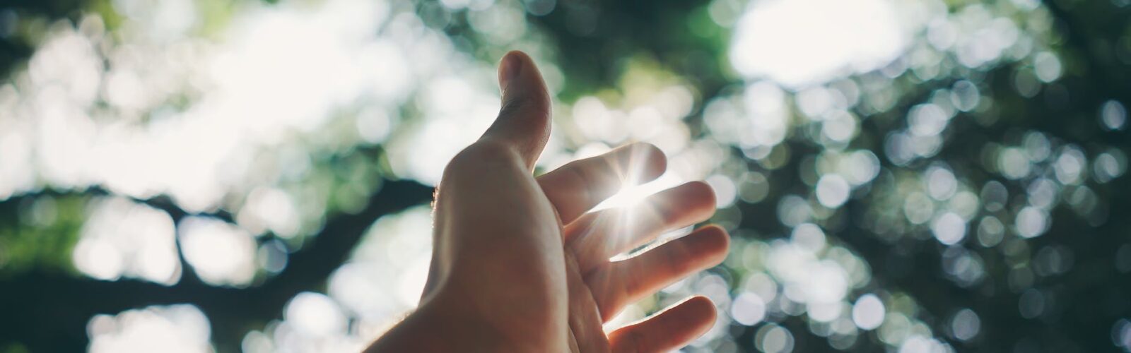 selective focus photography of hand